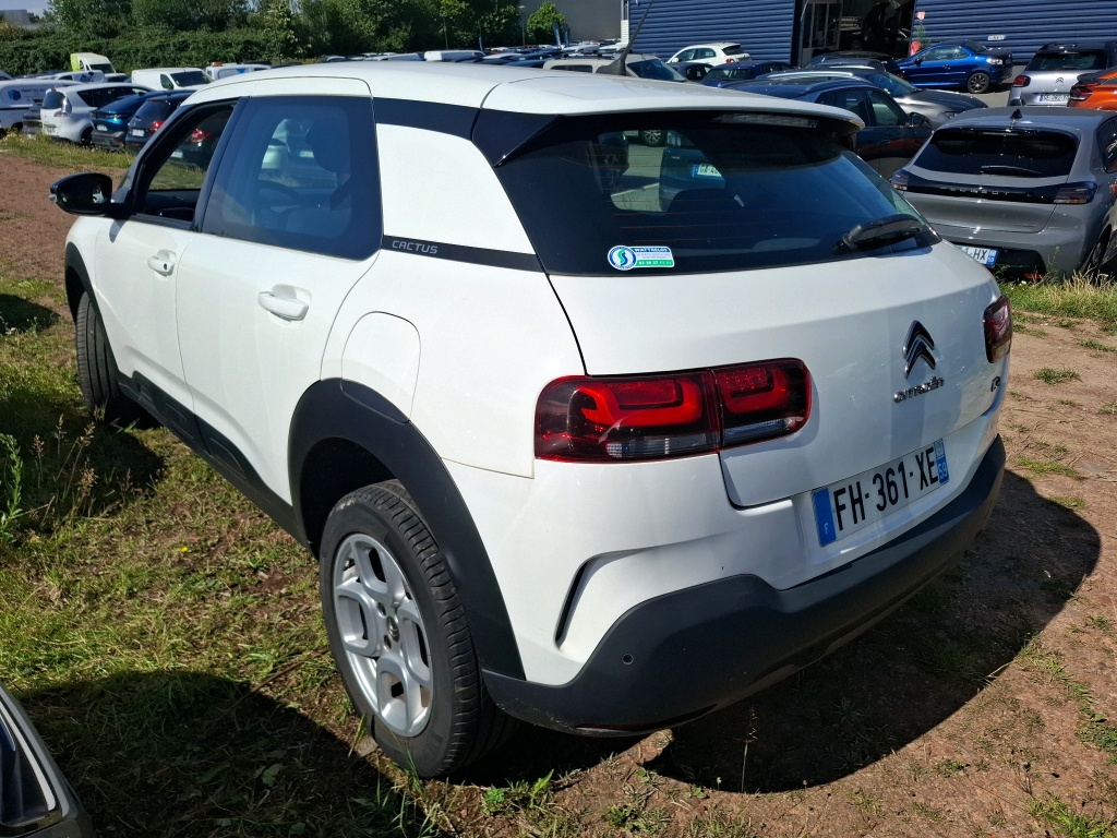Citroen C4 Cactus BlueHDi 100 S&S BVM6 Feel Business 2019