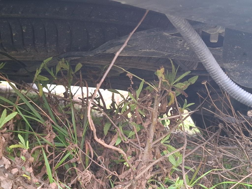 Citroen BERLINGO VAN XL 950 BLUEHDI 100 S&S BVM6 DRIVER 2022