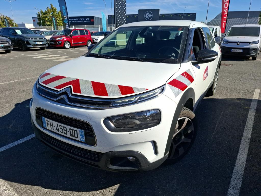 C4 CACTUS