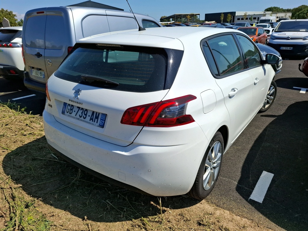 Peugeot 308 BlueHDi 130ch S&S EAT8 Active Business 2021