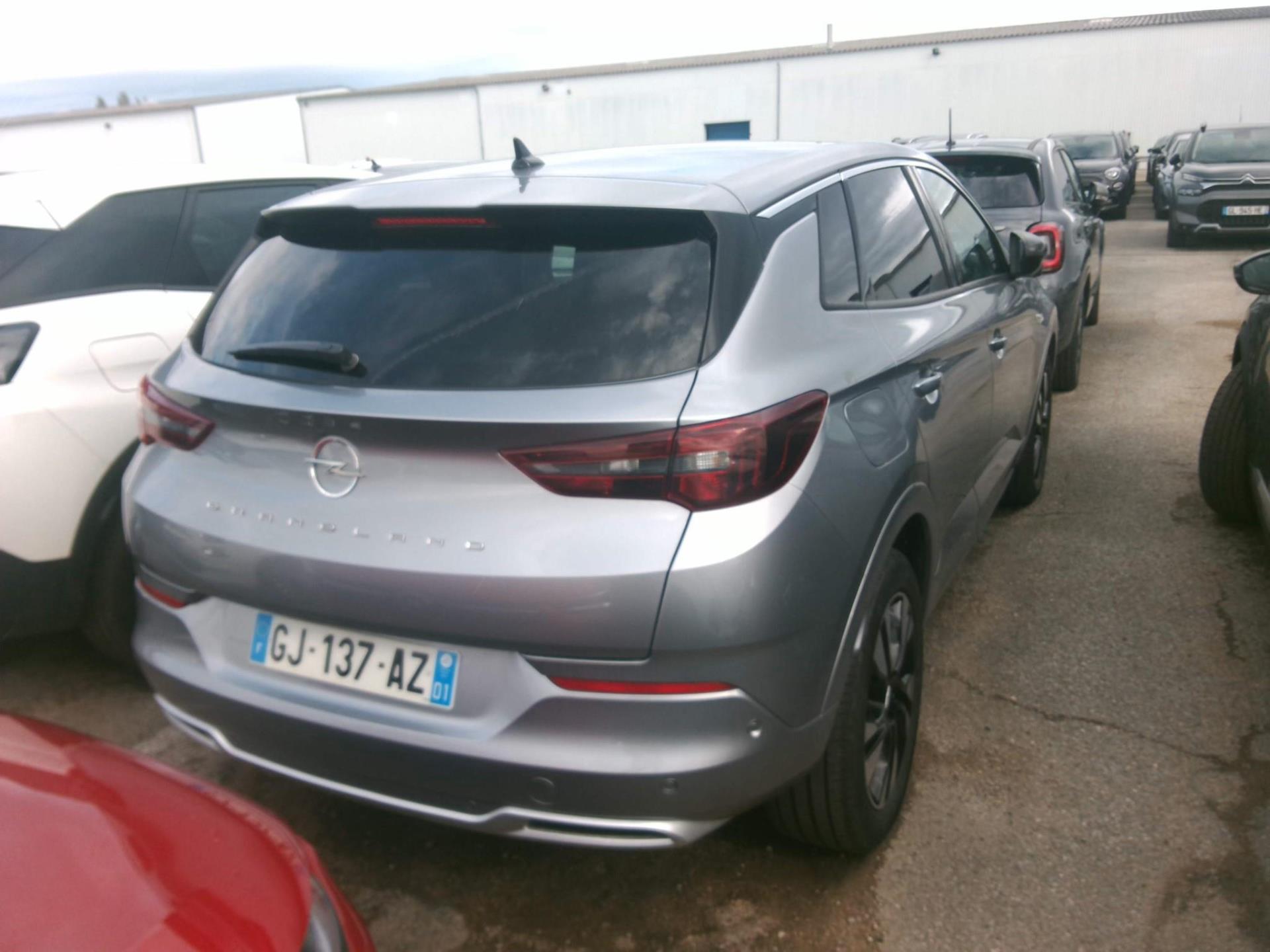 Opel Grandland 1.5 Diesel 130 ch BVA8 Elegance Business 2022