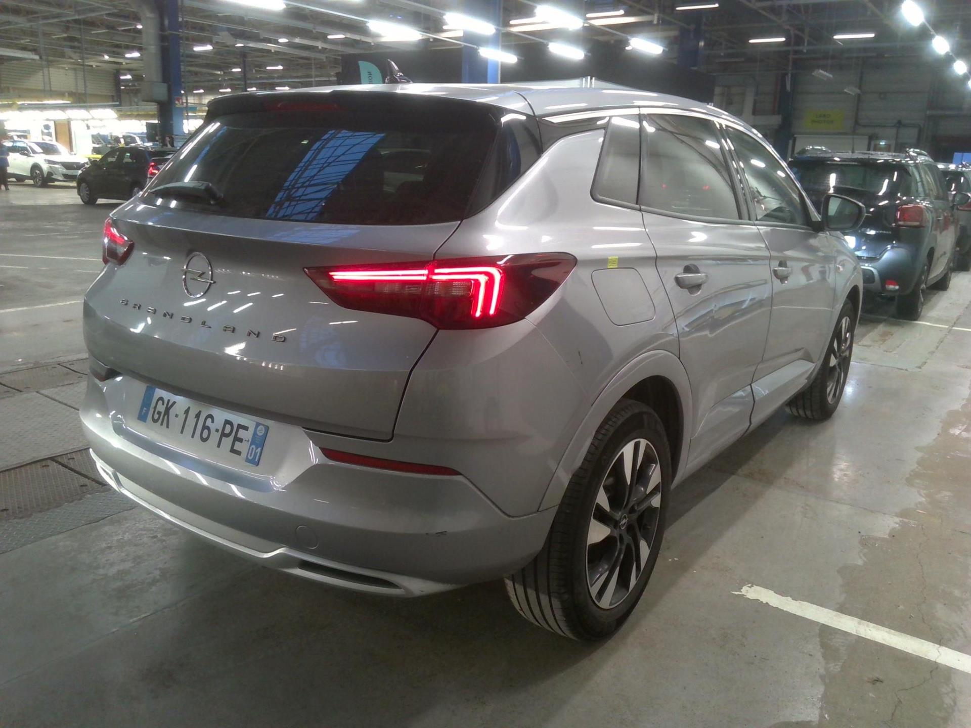 Opel Grandland 1.5 Diesel 130 ch BVA8 Elegance Business 2022