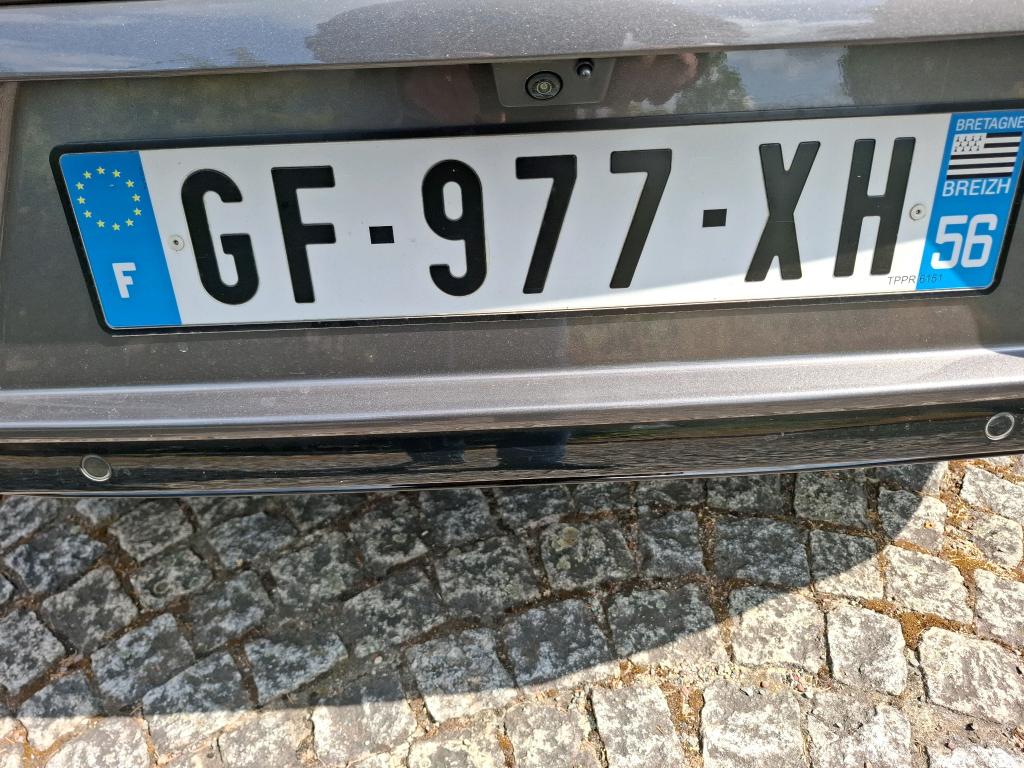 DS DS 4 BlueHDi 130 EAT8 Performance Line 2022