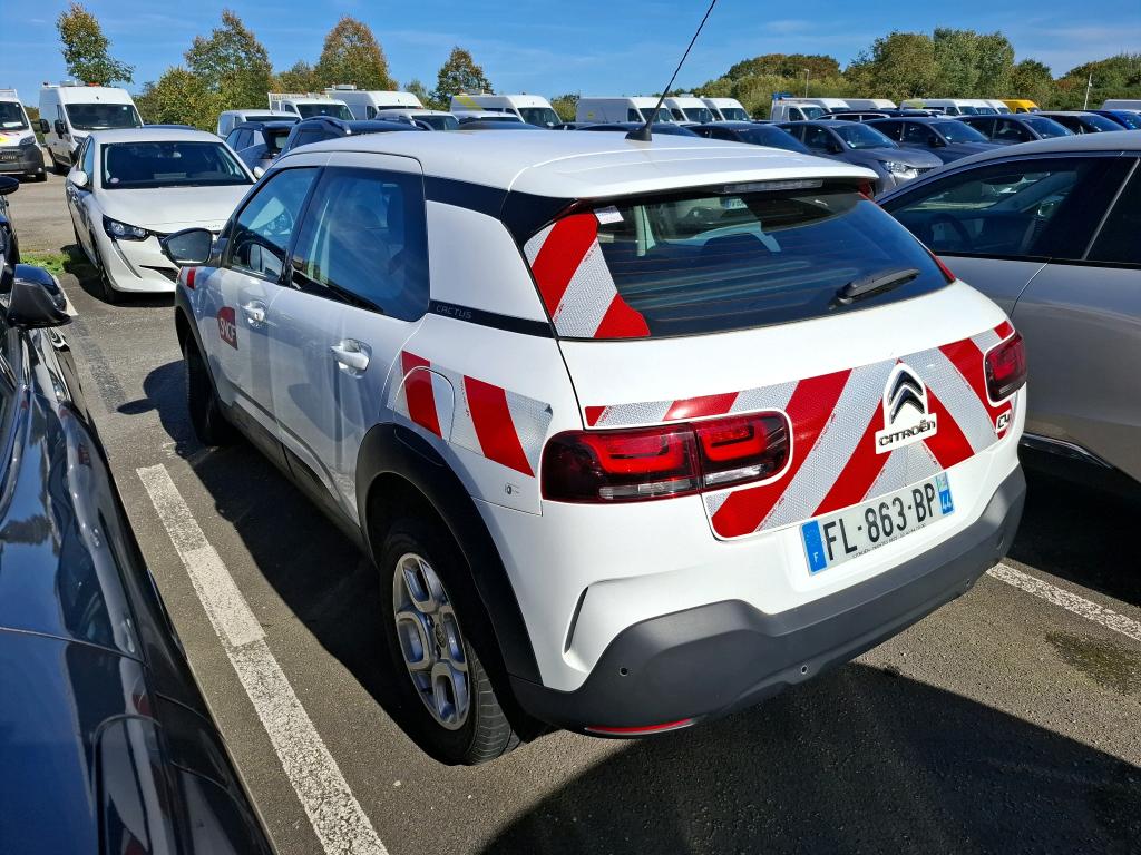 Citroen C4 Cactus PureTech 110 S&S BVM6 Feel 2019