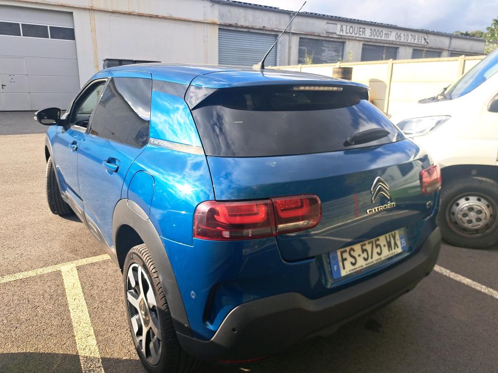 Citroen C4 Cactus BlueHDi 100 S&S BVM6 Shine Business 2020