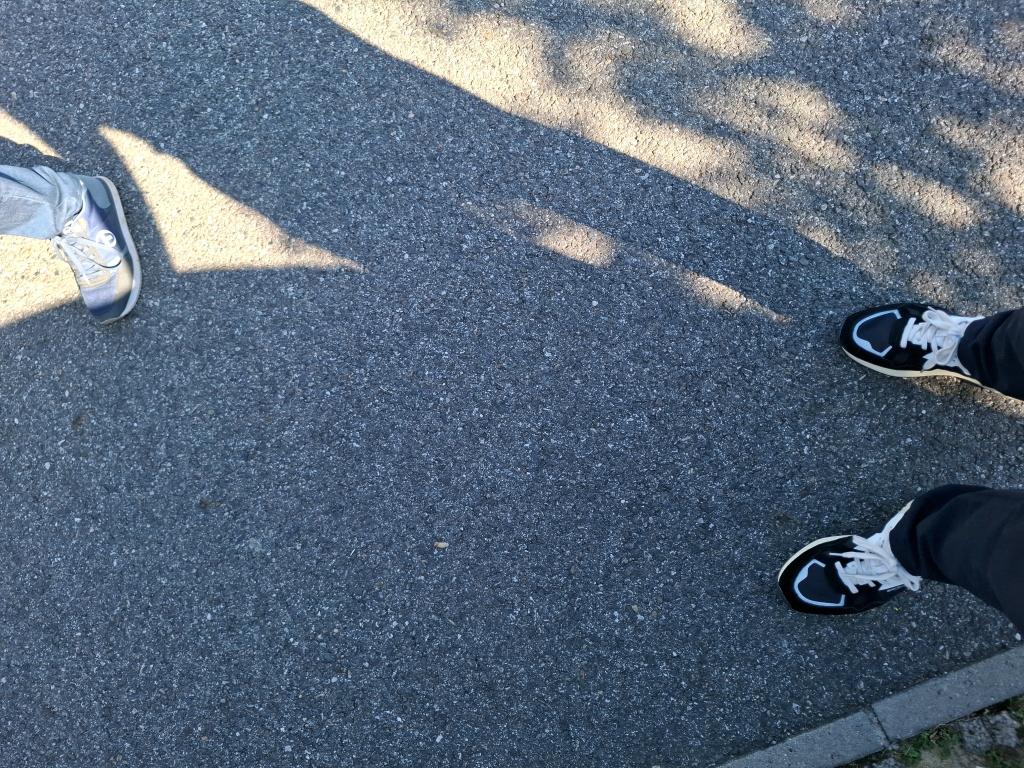 Citroen C3 PureTech 83 ch BVM5 You 2023