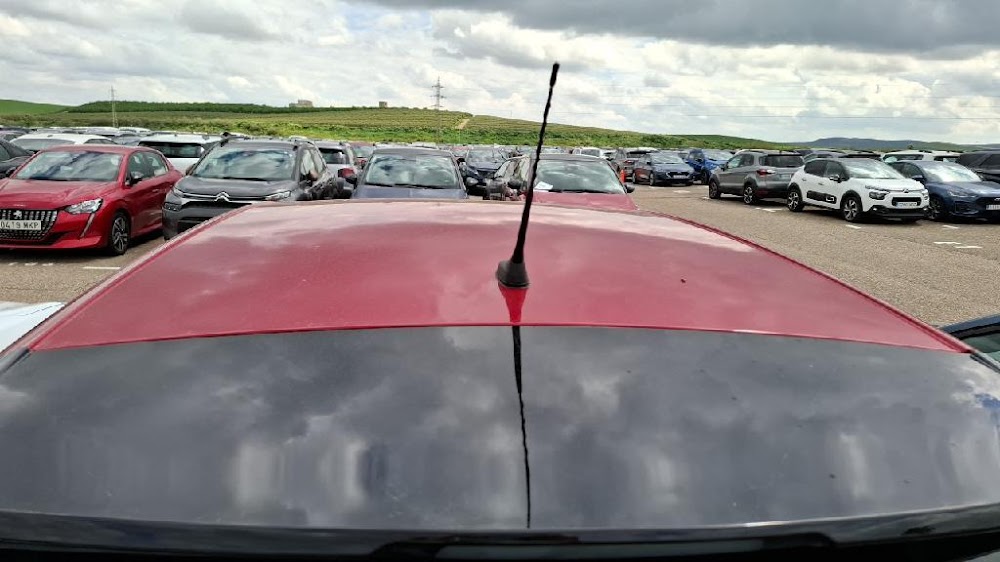 Foto Opel CrossLand 10