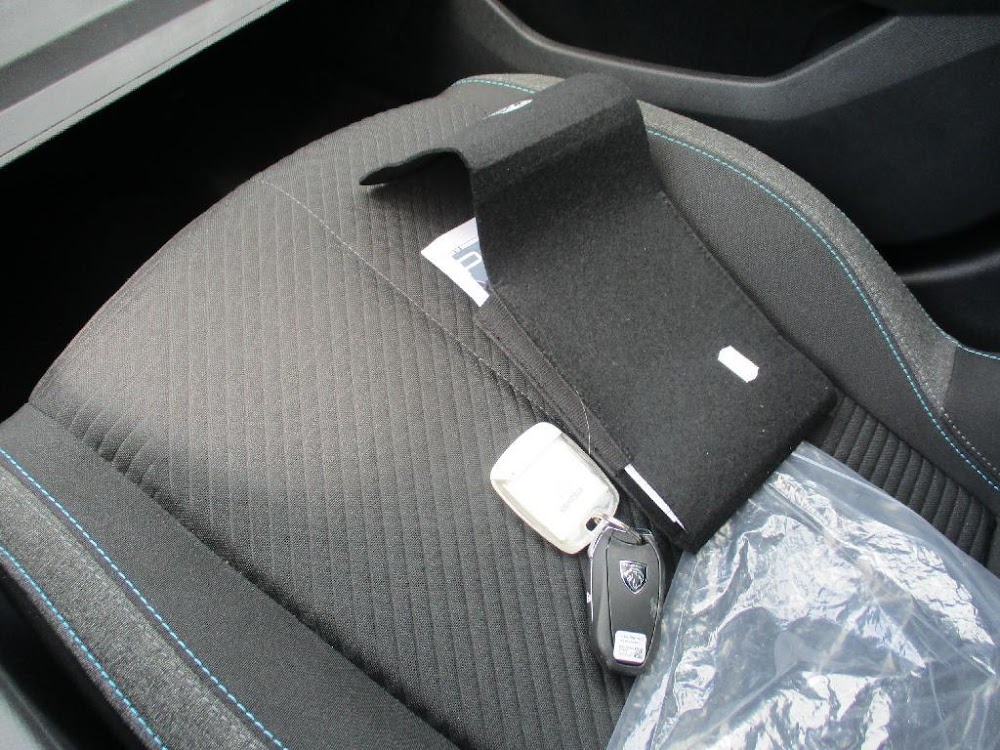 Foto Peugeot 308 13