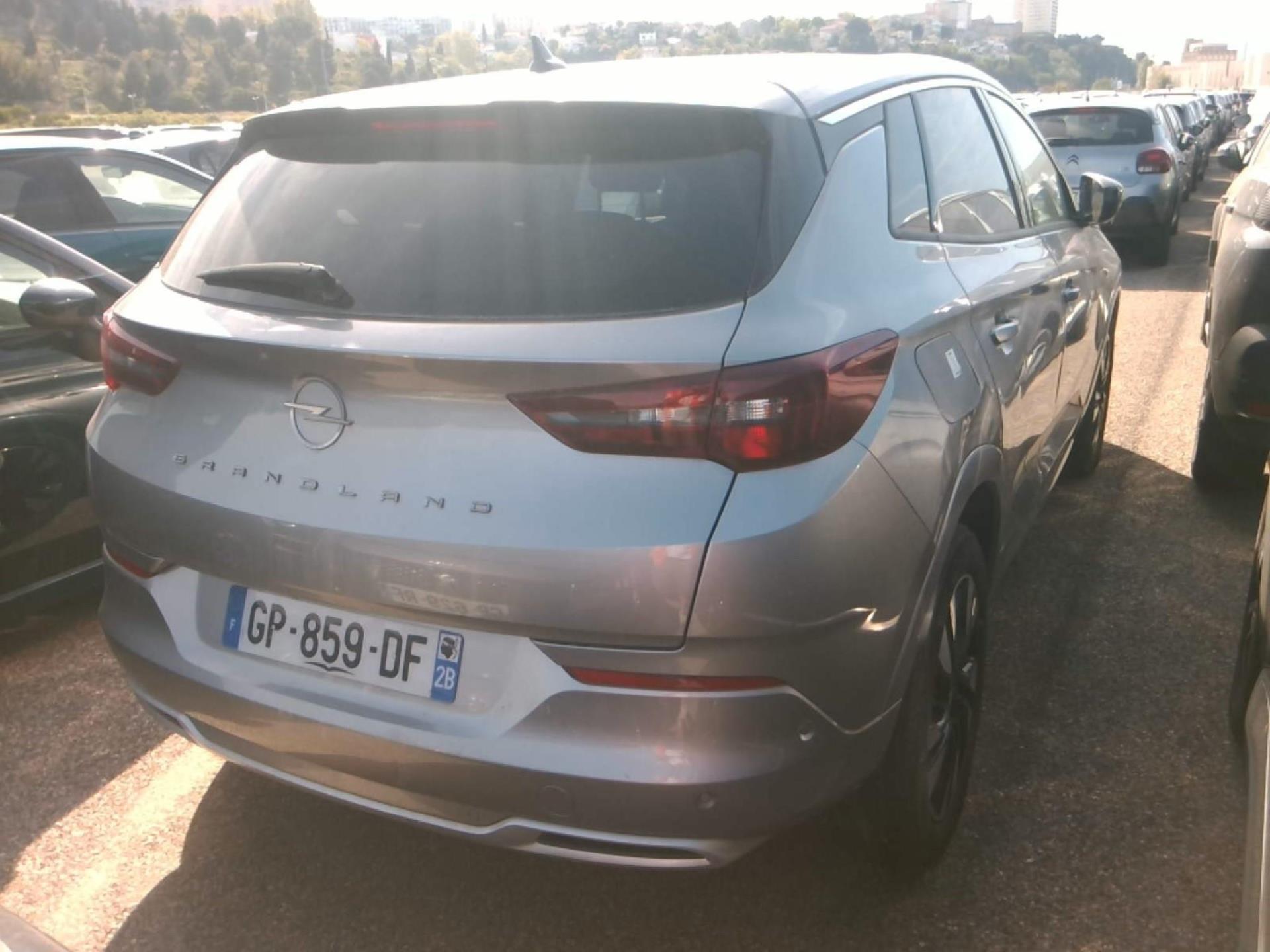 Opel Grandland 1.5 Diesel 130 ch BVA8 Elegance Business 2023