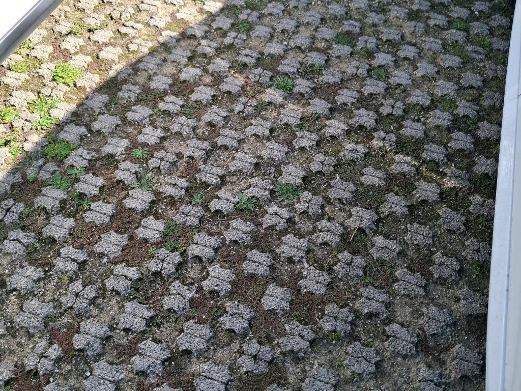 Citroen C3 PureTech 83 ch BVM5 You 2023