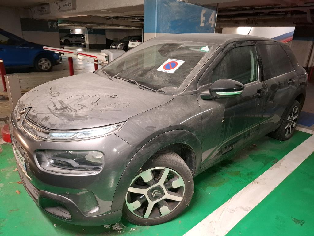 C4 CACTUS