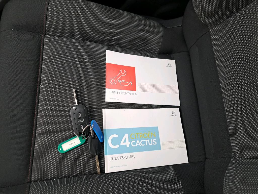 Citroen C4 Cactus BlueHDi 120 S&S EAT6 Feel Business 2019