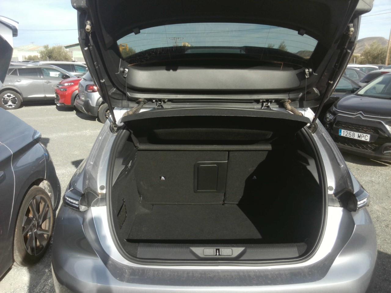 Foto Peugeot 308 9