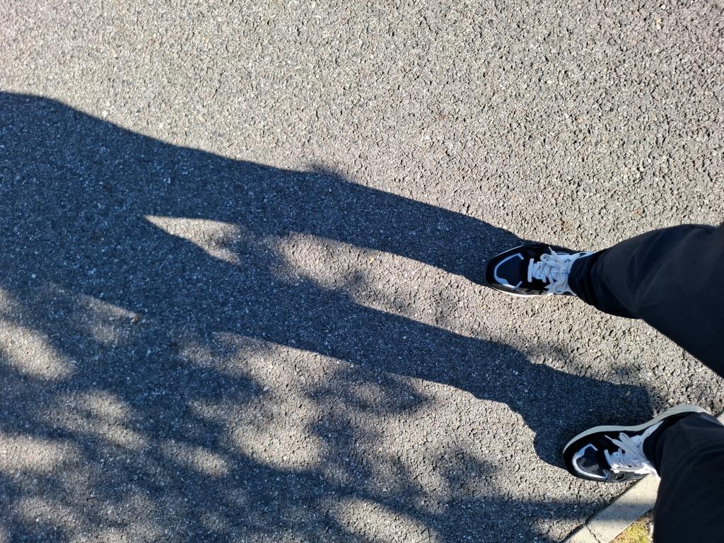 Citroen C3 PureTech 83 ch BVM5 You 2023