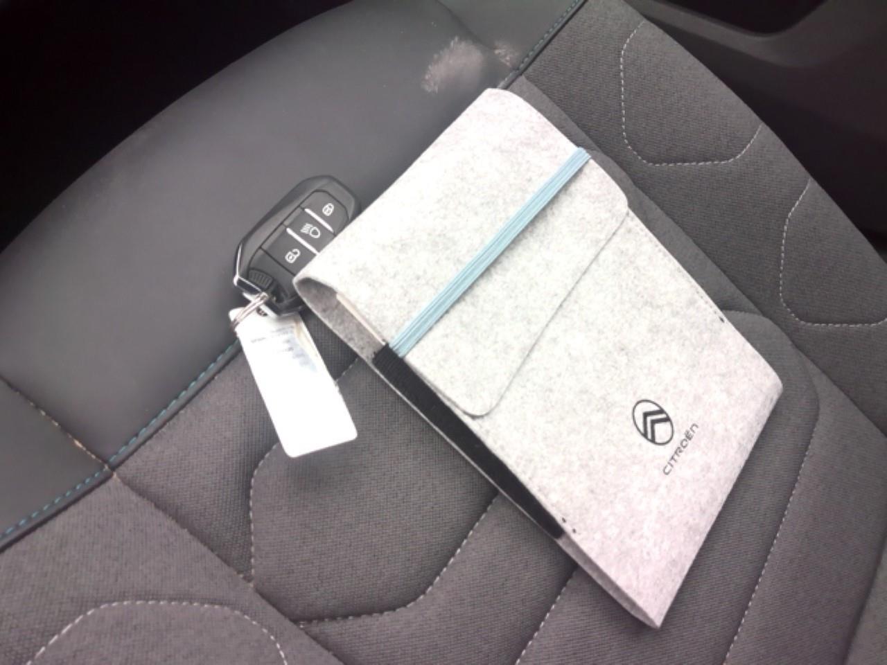 Foto Citroën C4 X 13