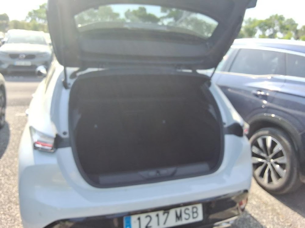 Foto Peugeot 308 9