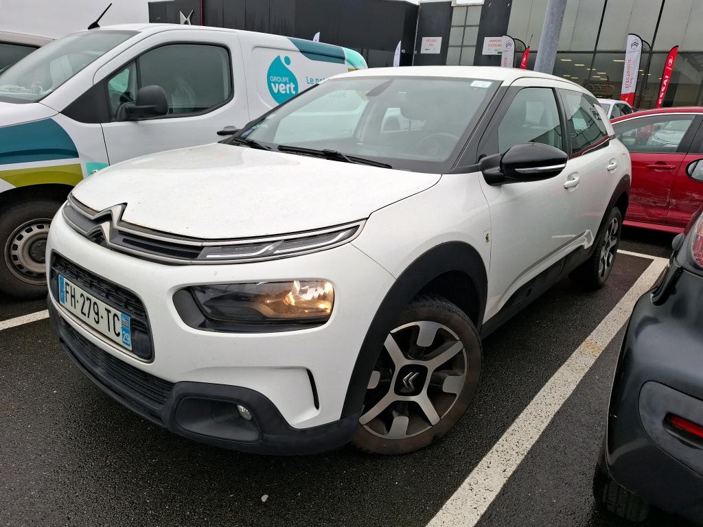 C4 CACTUS