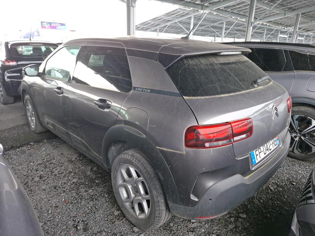 Citroen C4 Cactus PureTech 110 S&S BVM6 Feel Business 2020