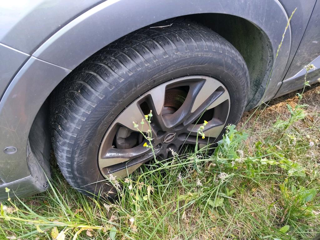 Opel Grandland 1.5 Diesel 130 ch BVA8 Elegance Business 2022