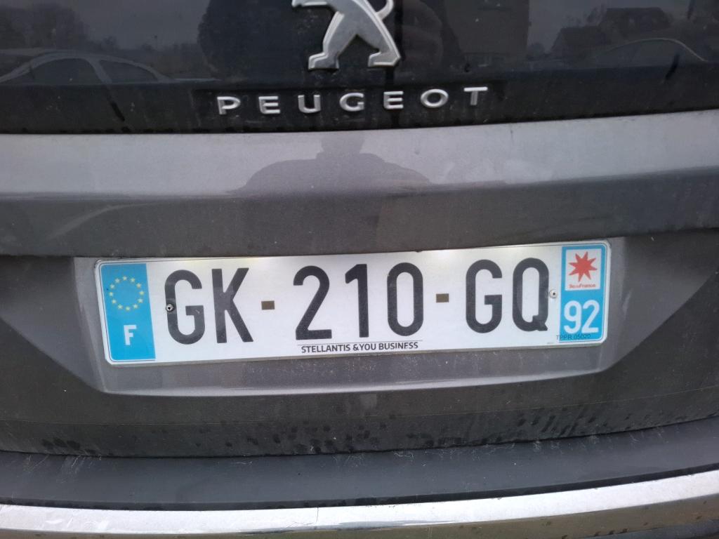 Peugeot NV 3008 SUV 