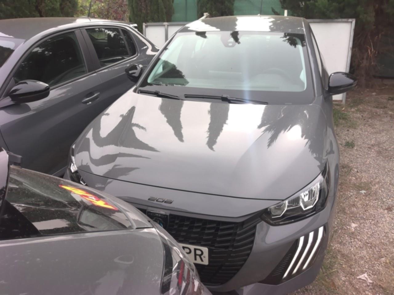 Peugeot 308 N208 5P Active Gasolina 100 S&S 6 Vel MAN