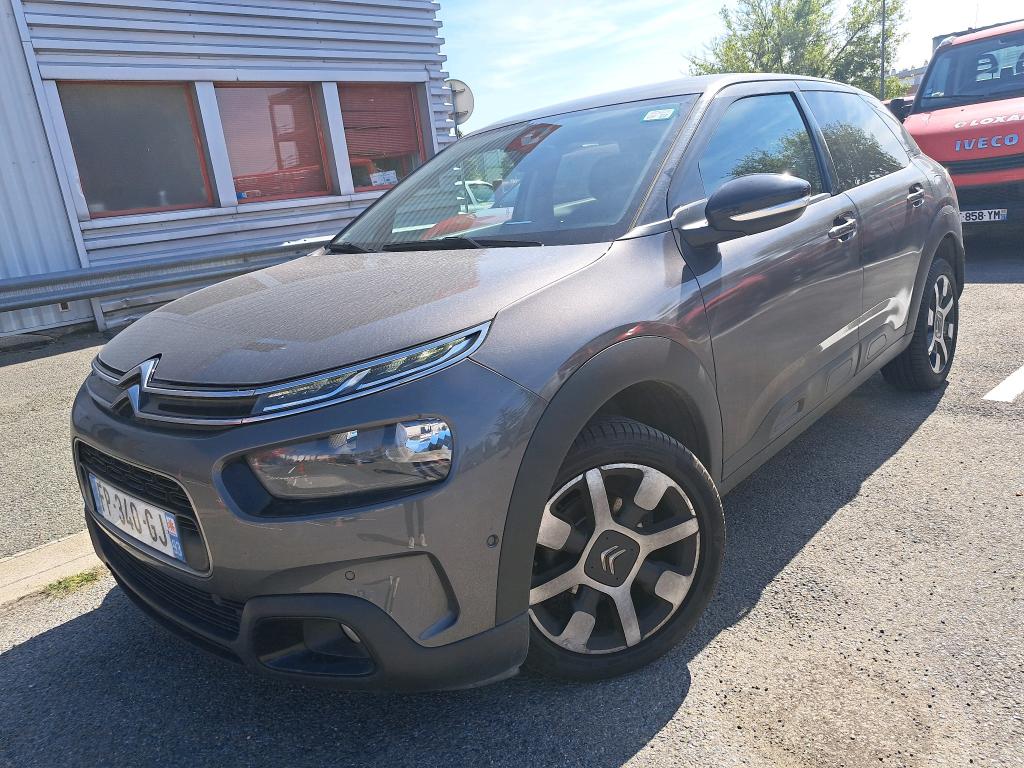 C4 CACTUS