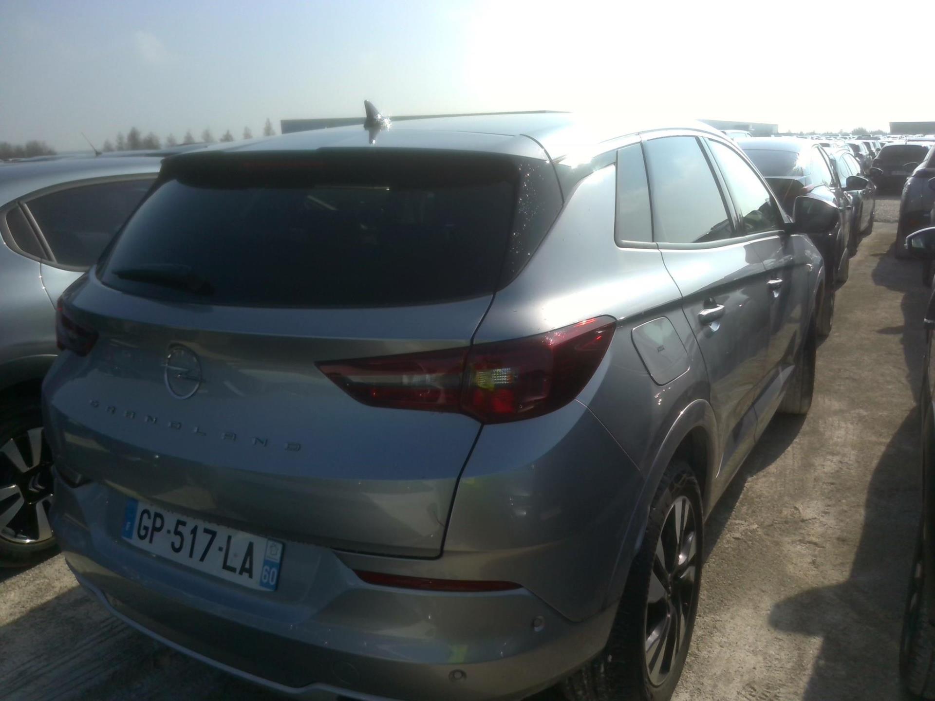 Opel Grandland 1.5 Diesel 130 ch BVA8 Elegance Business 2023