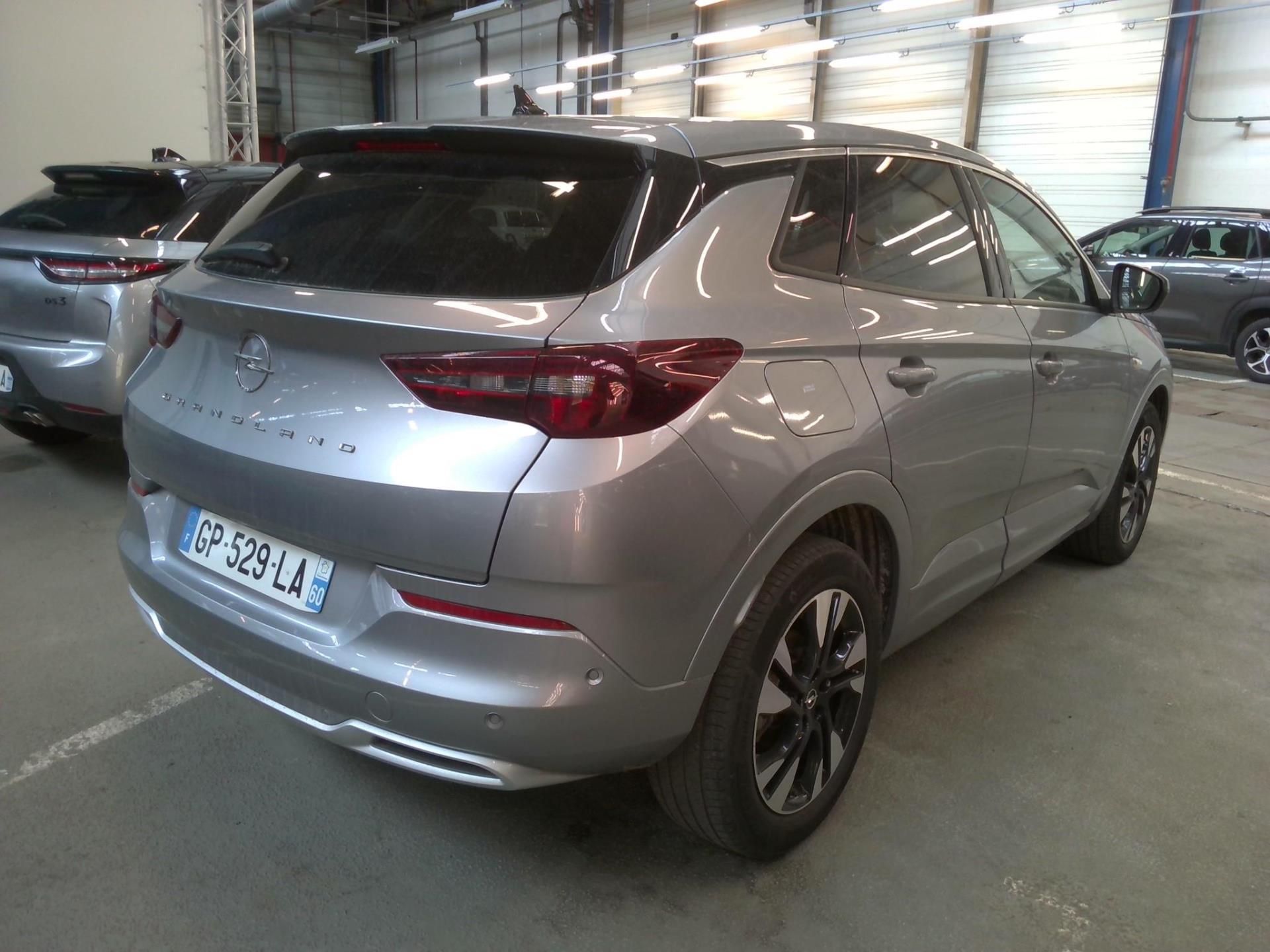 Opel Grandland 1.5 Diesel 130 ch BVA8 Elegance Business 2023