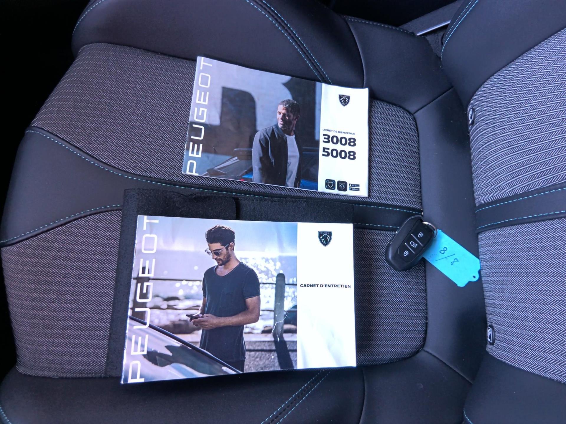 Peugeot NV 3008 SUV 