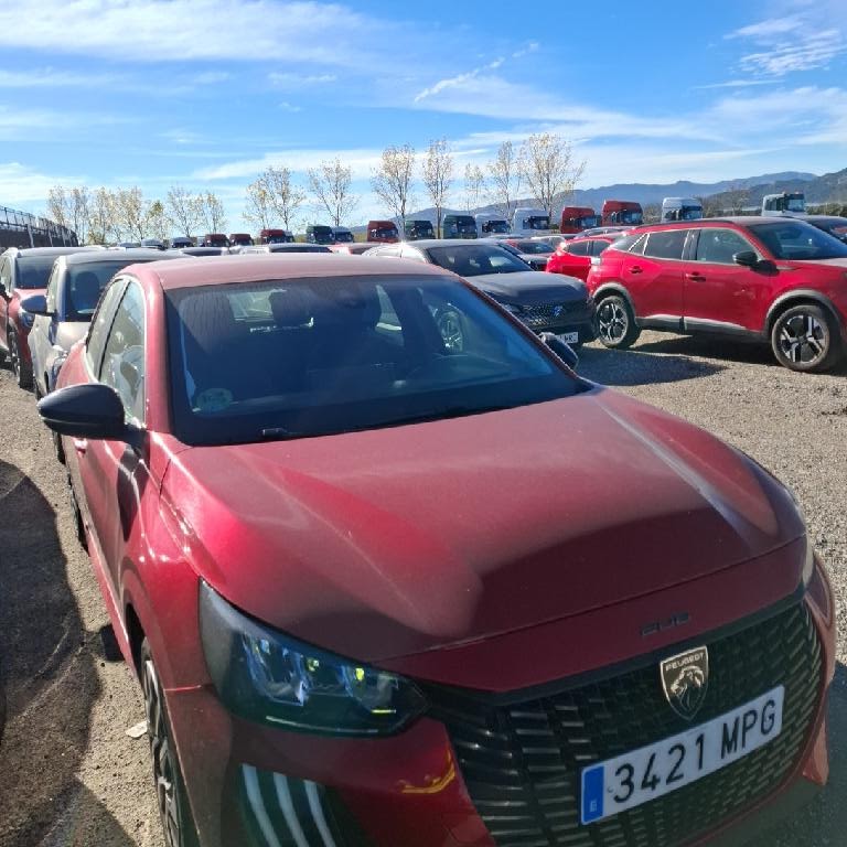 Foto Peugeot 308 5
