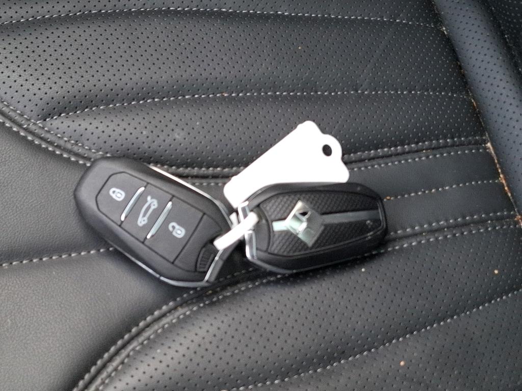 DS DS 4 BlueHDi 130 EAT8 Rivoli 2022