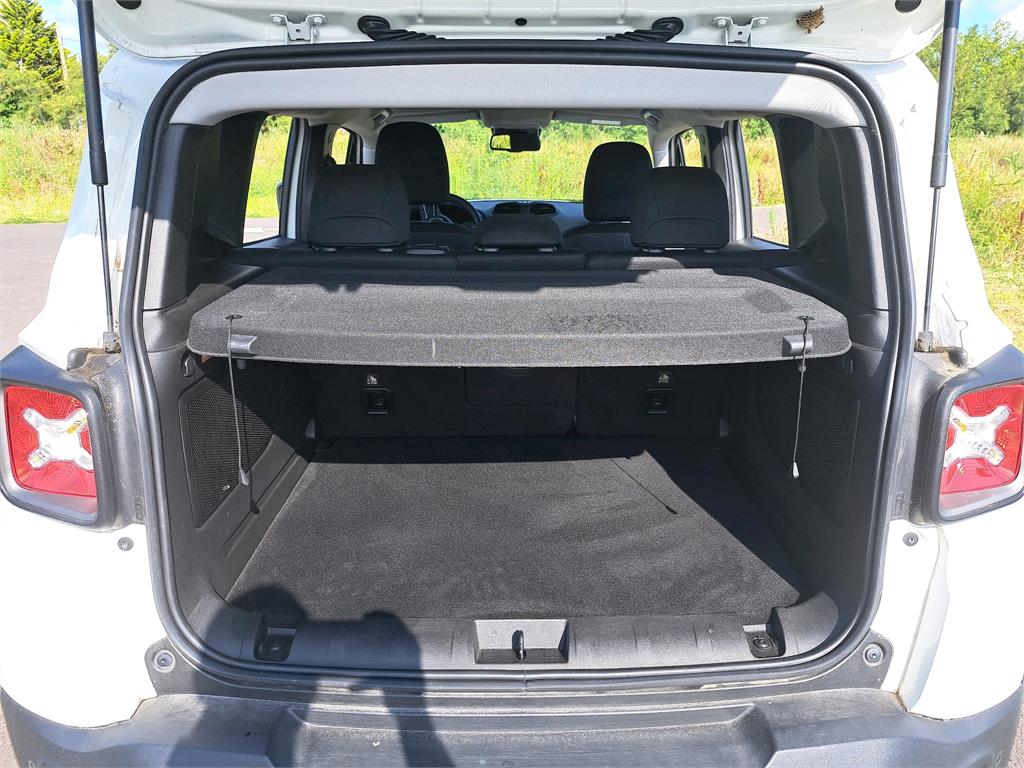 JEEP RENEGADE MY21 