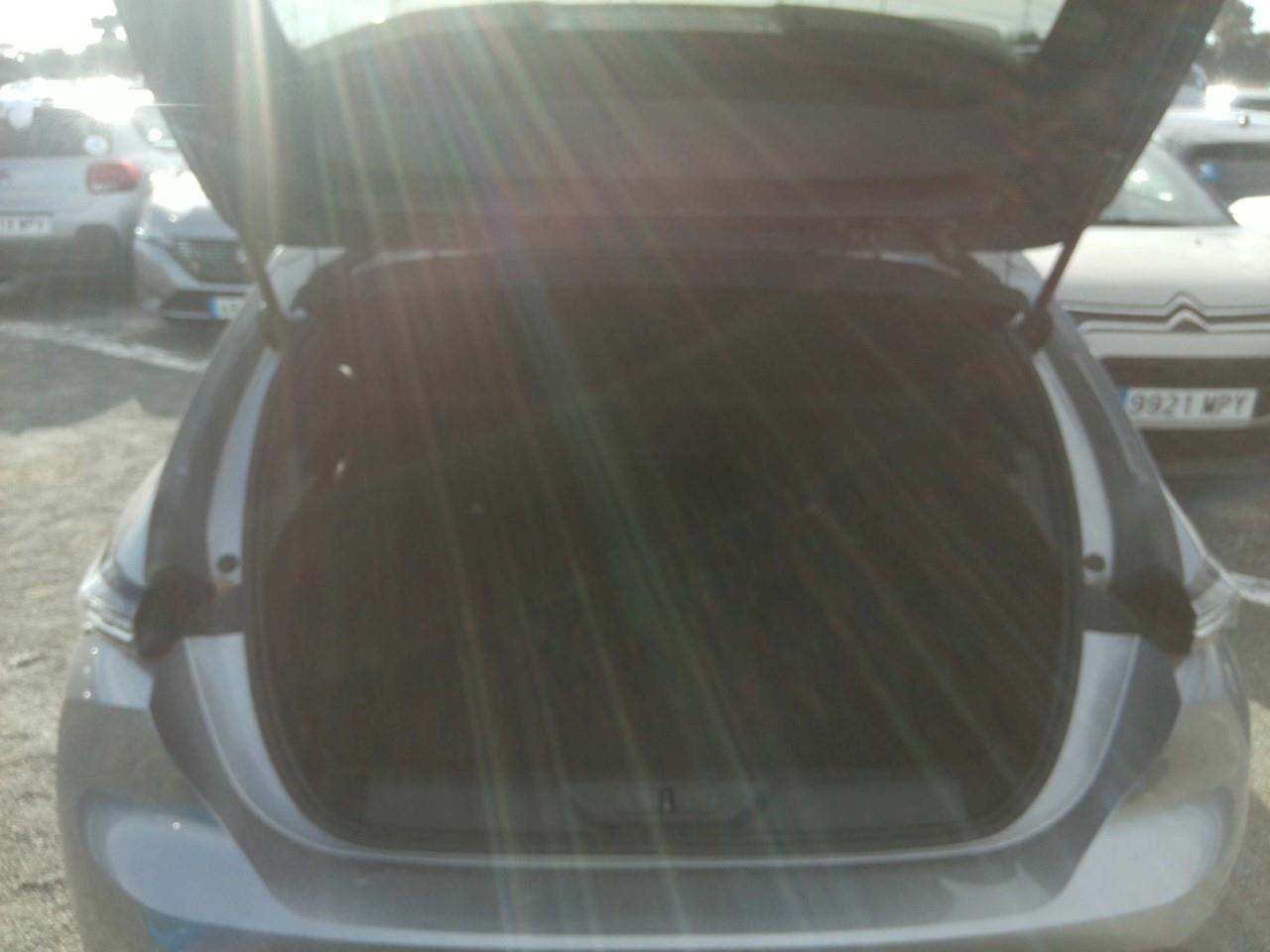 Foto Peugeot 308 9