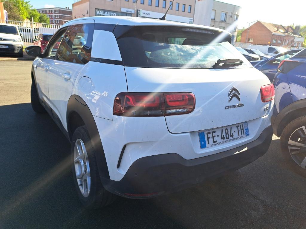 Citroen C4 Cactus BlueHDi 100 S&S BVM6 Feel Business 2019