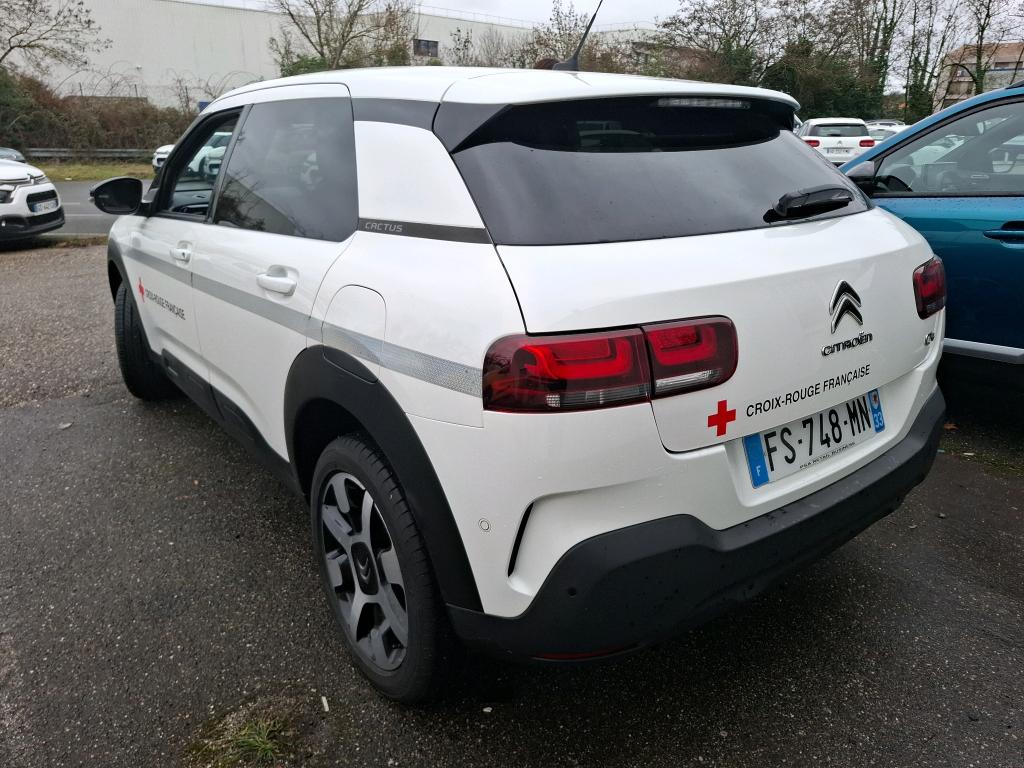 Citroen C4 Cactus BlueHDi 100 S&S BVM6 Shine Business 2020