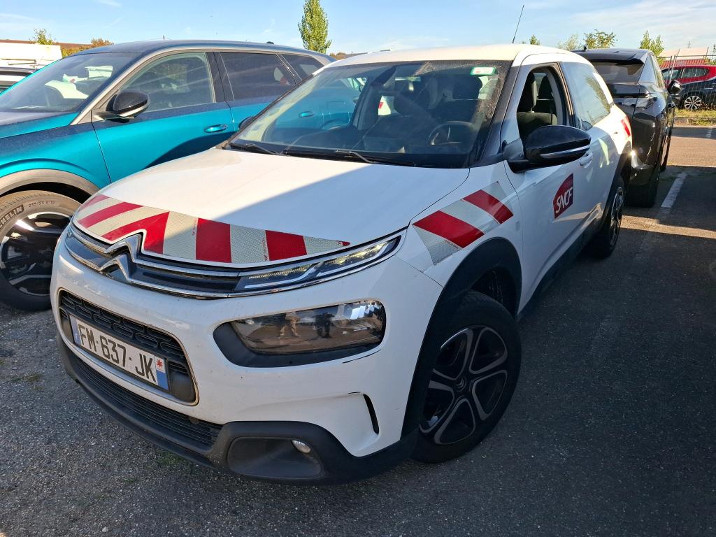 C4 CACTUS