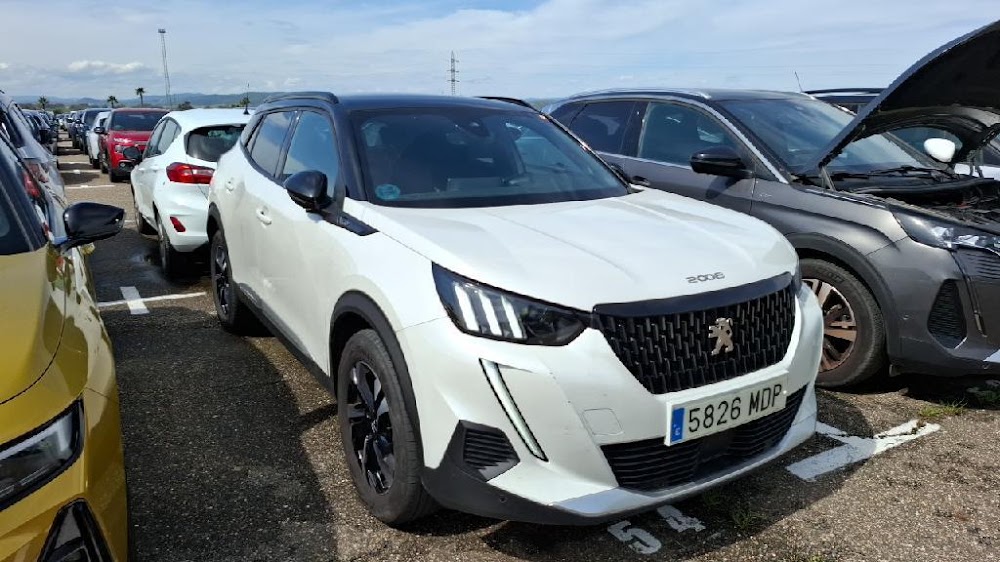 Foto Peugeot 2008 6
