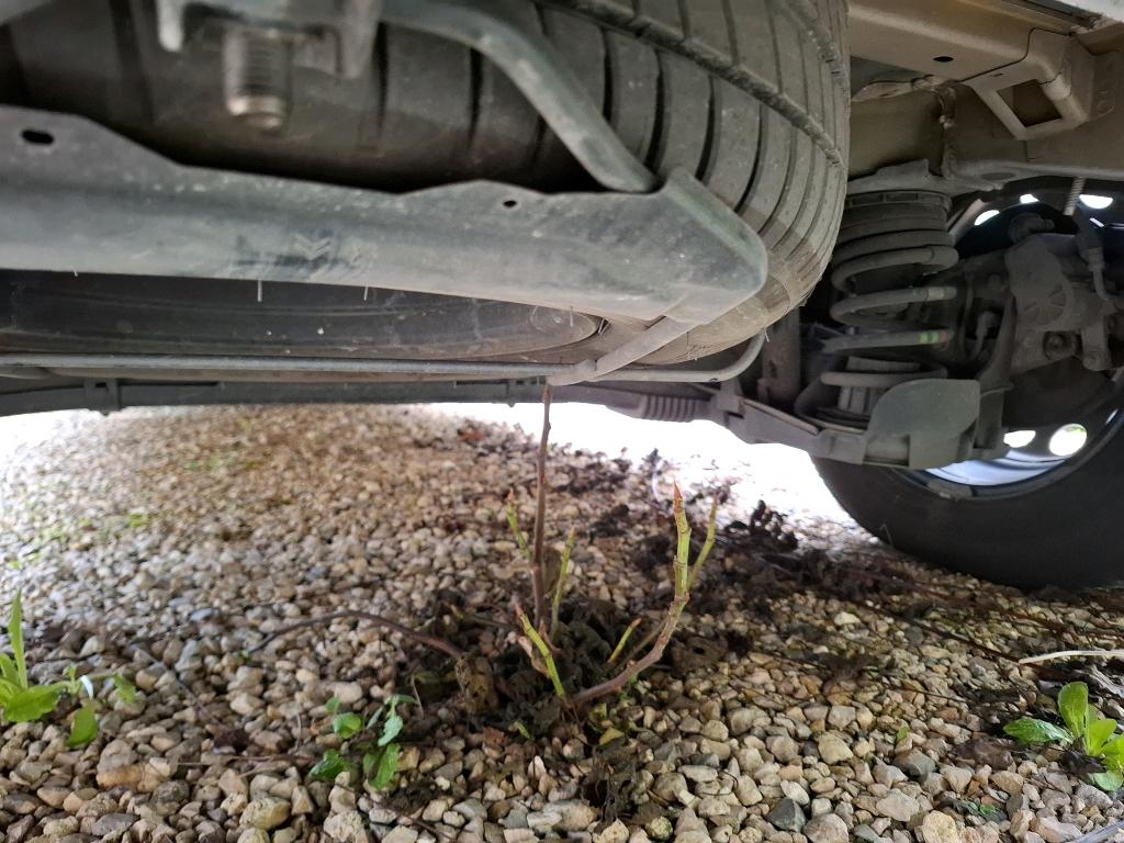 Citroen E-BERLINGO VAN M 800 100 KW (136 CH) BATTERIE 50 KWH DRIVER 2022