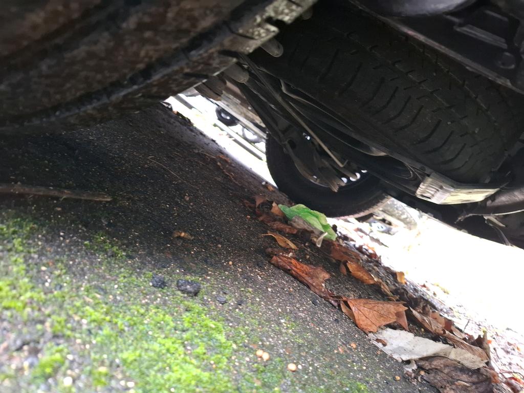 Citroen JUMPY FGN M BLUEHDI 145 S&S EAT8 DRIVER 2023