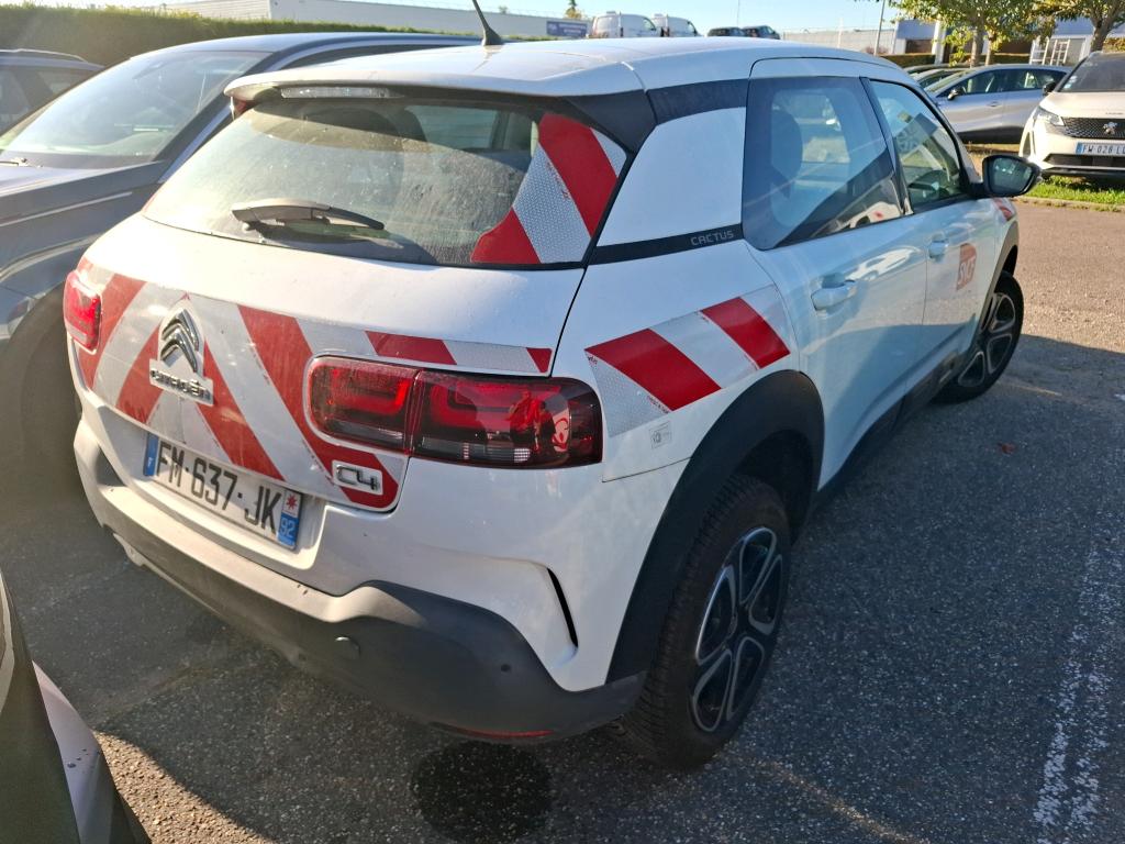 Citroen C4 Cactus BlueHDi 100 S&S BVM6 Feel 2019