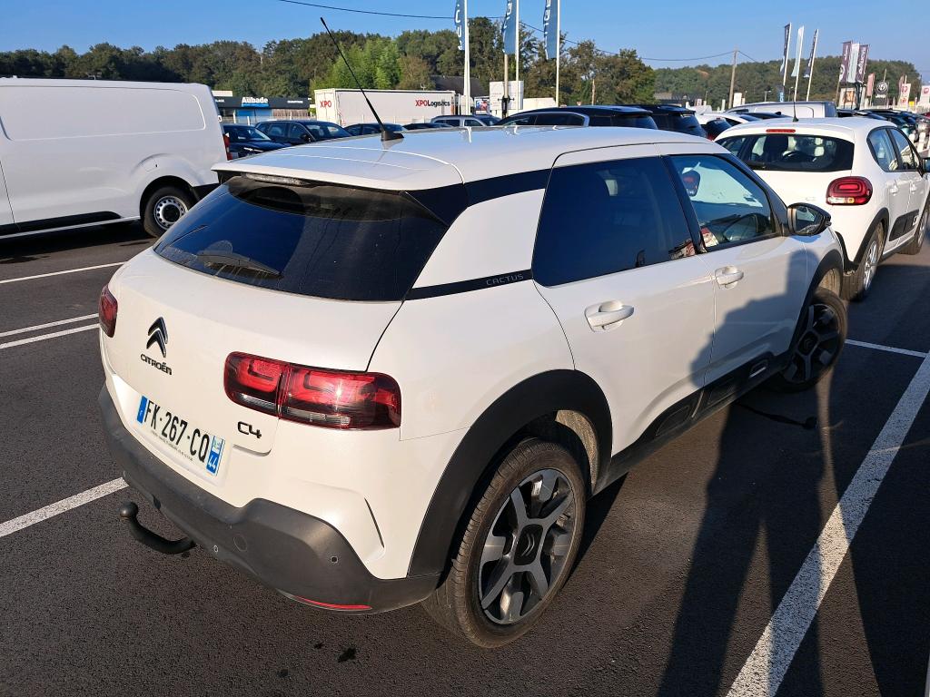Citroen C4 Cactus PureTech 110 S&S BVM6 Shine 2019