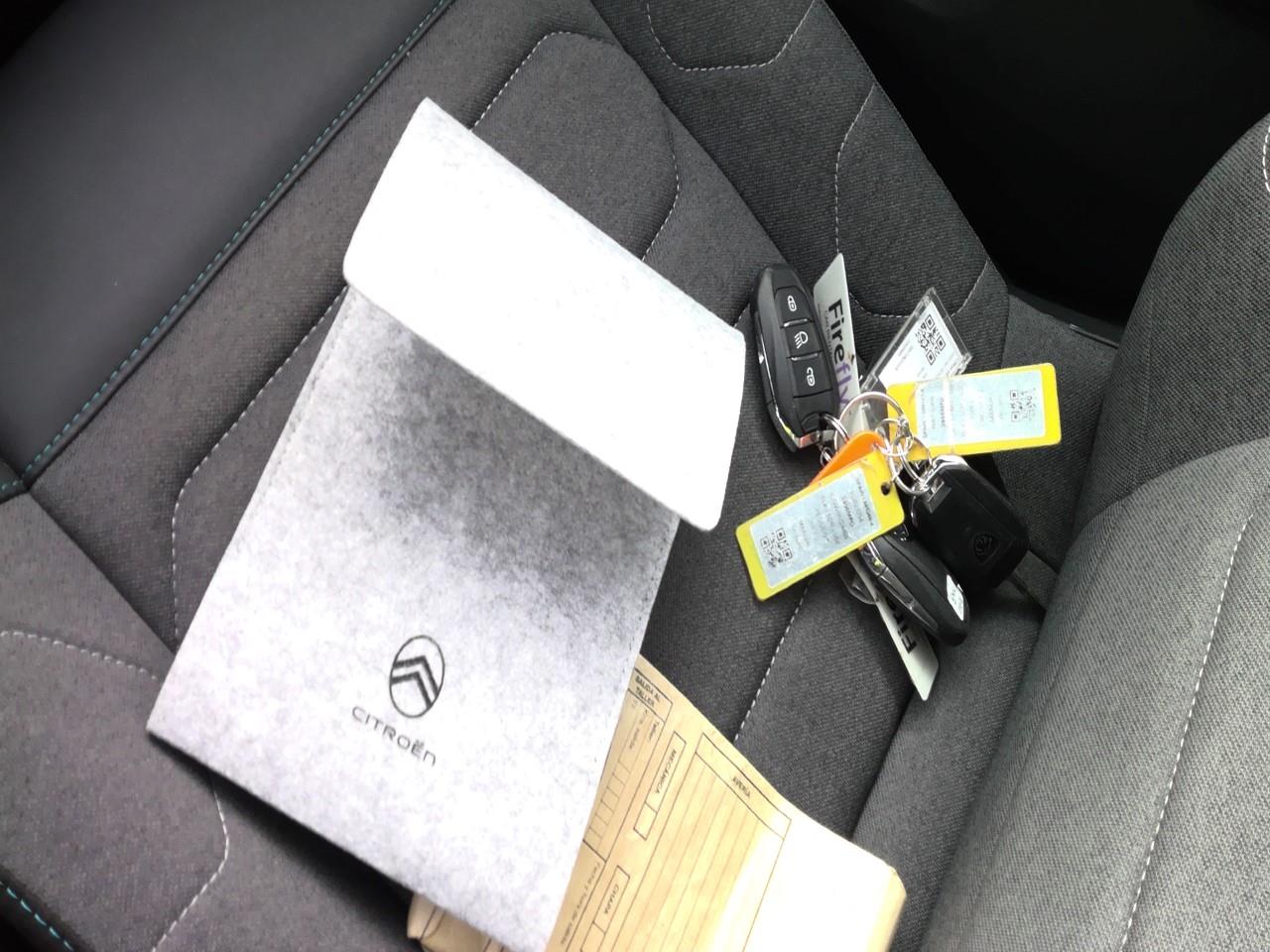 Foto Citroën C4 X 19