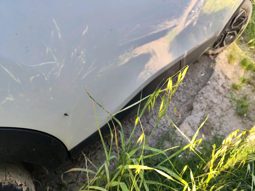 Citroen e-C4 156 ch Automatique Shine 2023