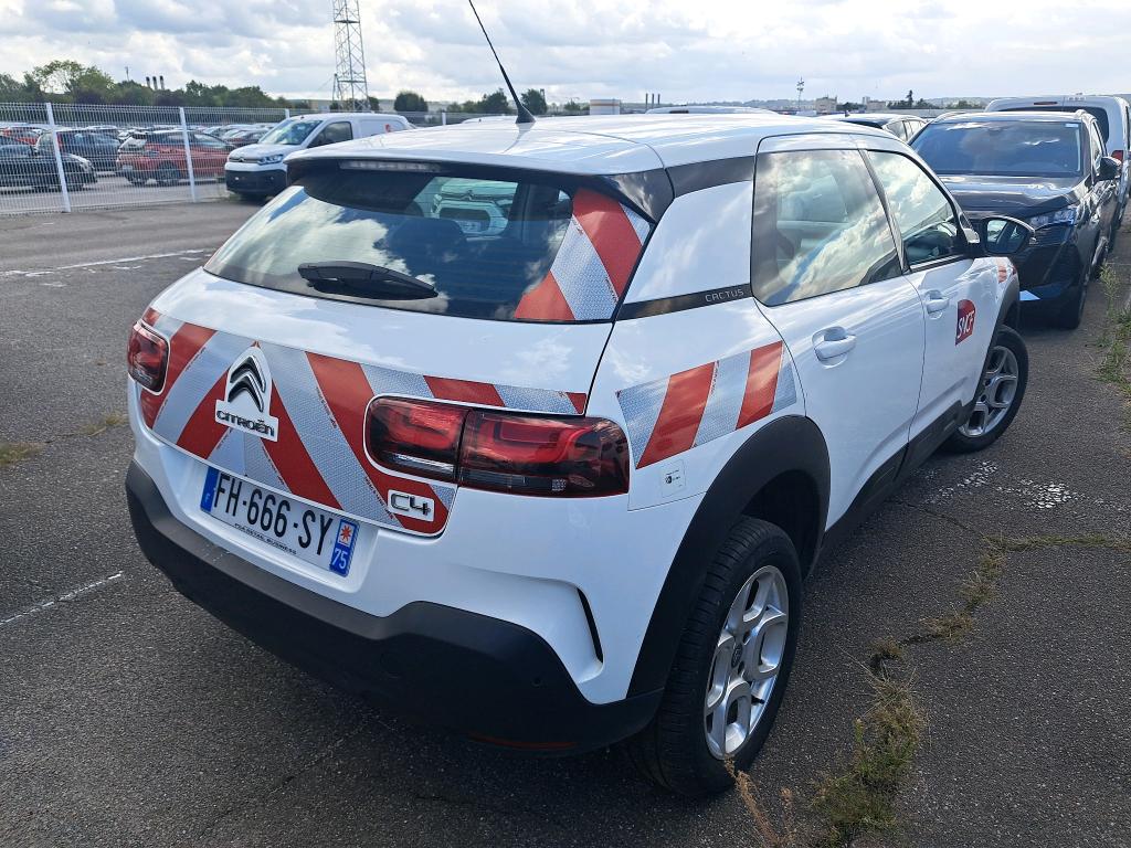 Citroen C4 Cactus BlueHDi 100 S&S BVM6 Feel 2019