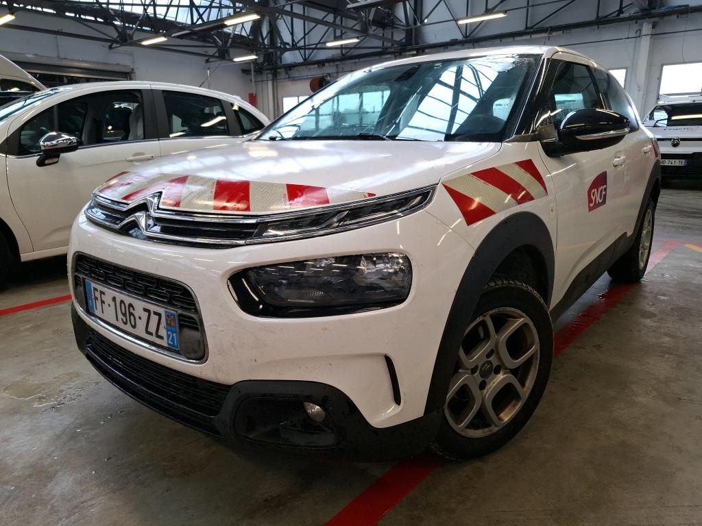 C4 CACTUS