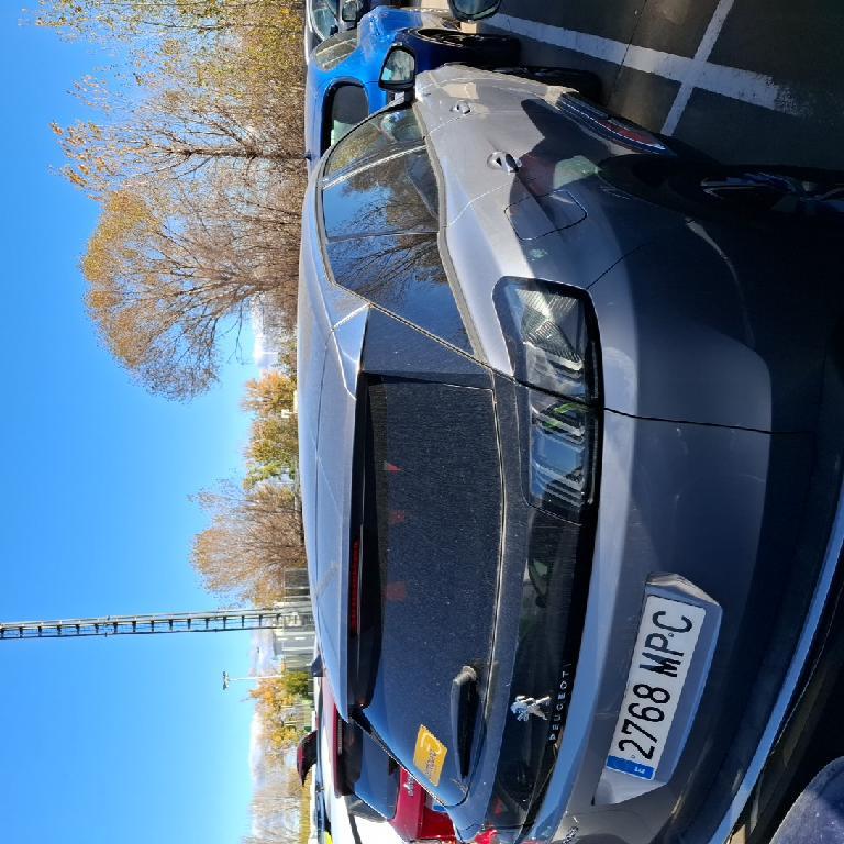 Foto Peugeot 3008 6