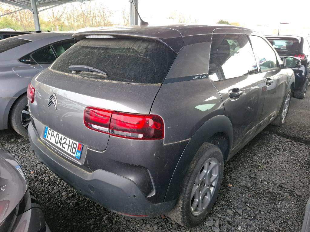Citroen C4 Cactus PureTech 110 S&S BVM6 Feel Business 2020