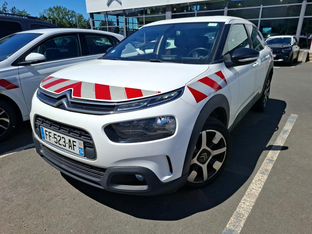 C4 CACTUS