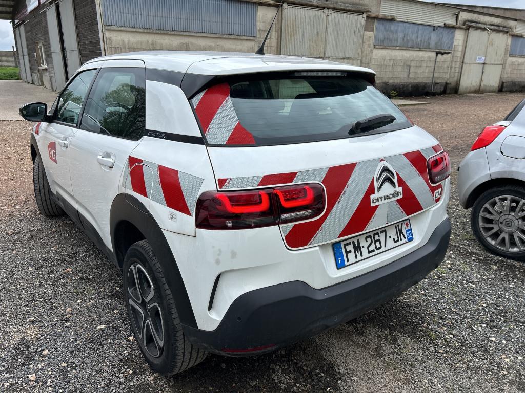 Citroen C4 Cactus BlueHDi 120 S&S EAT6 Feel 2019
