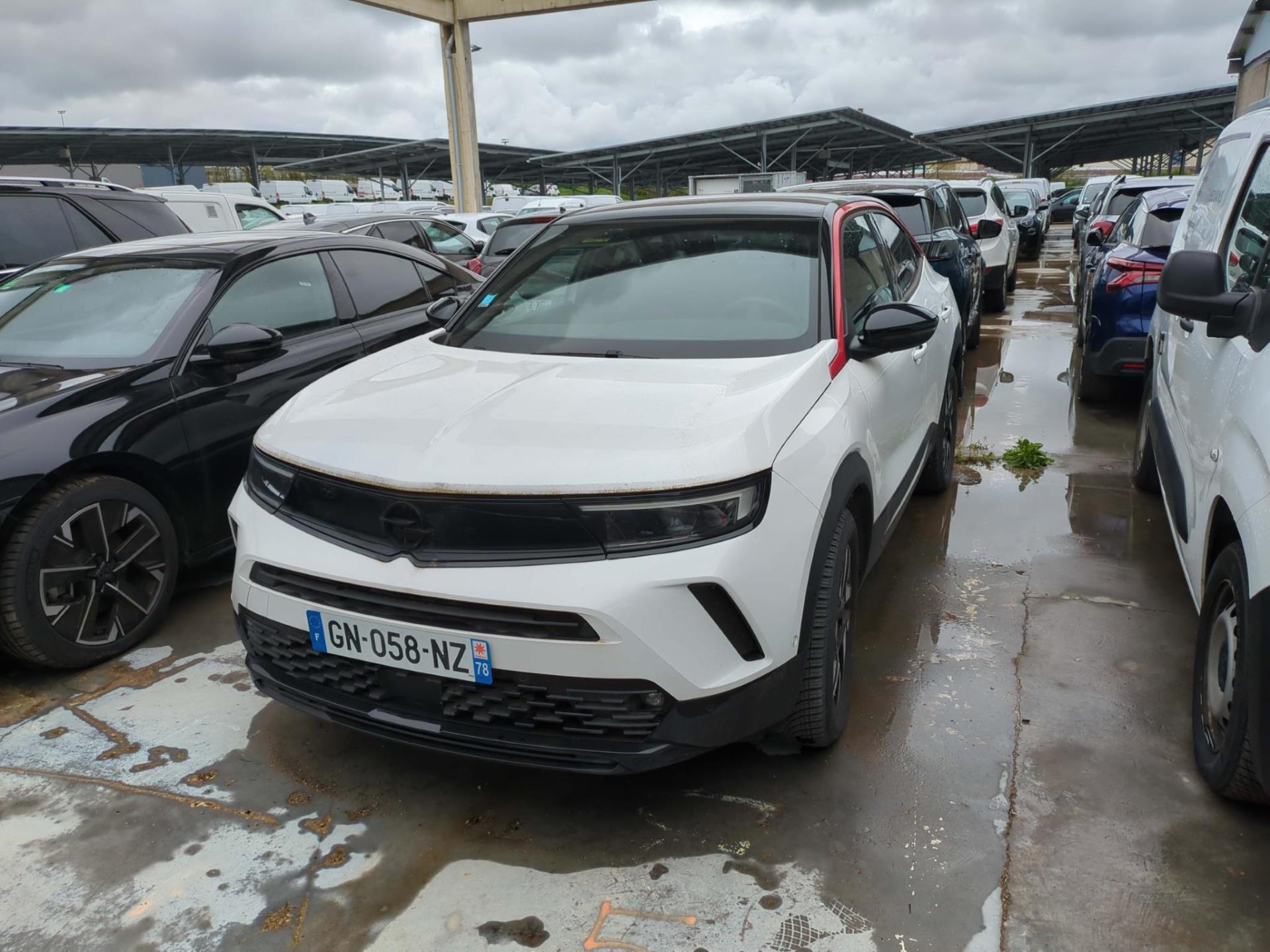 MOKKA B
